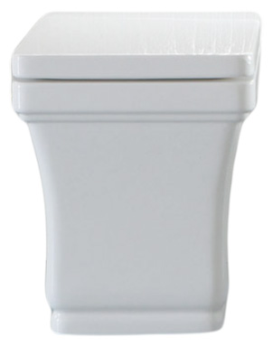 Унитаз приставной Disegno Ceramica Neo 7050-P