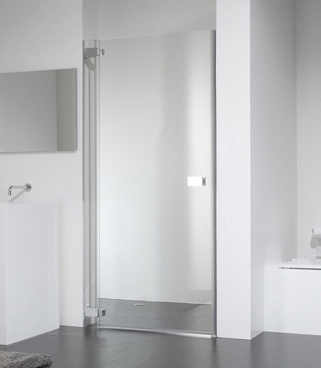 Душевая дверь в нишу Provex E-lite 0004-EN-05-GL L 90 см