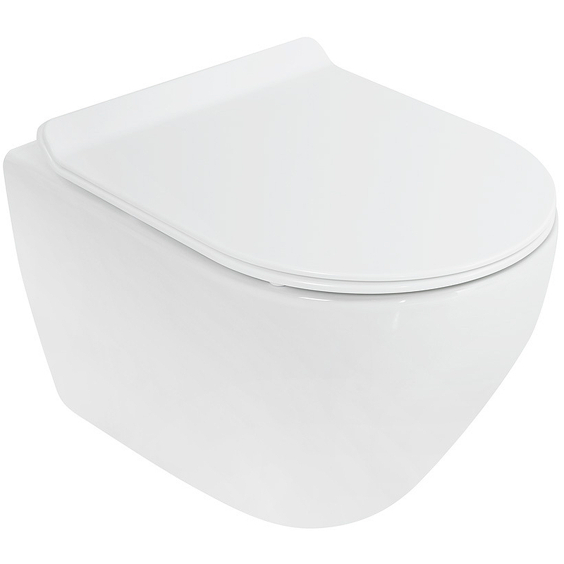 Чаша для унитаза подвесного Cezares Stylus CZR-513-TH-R