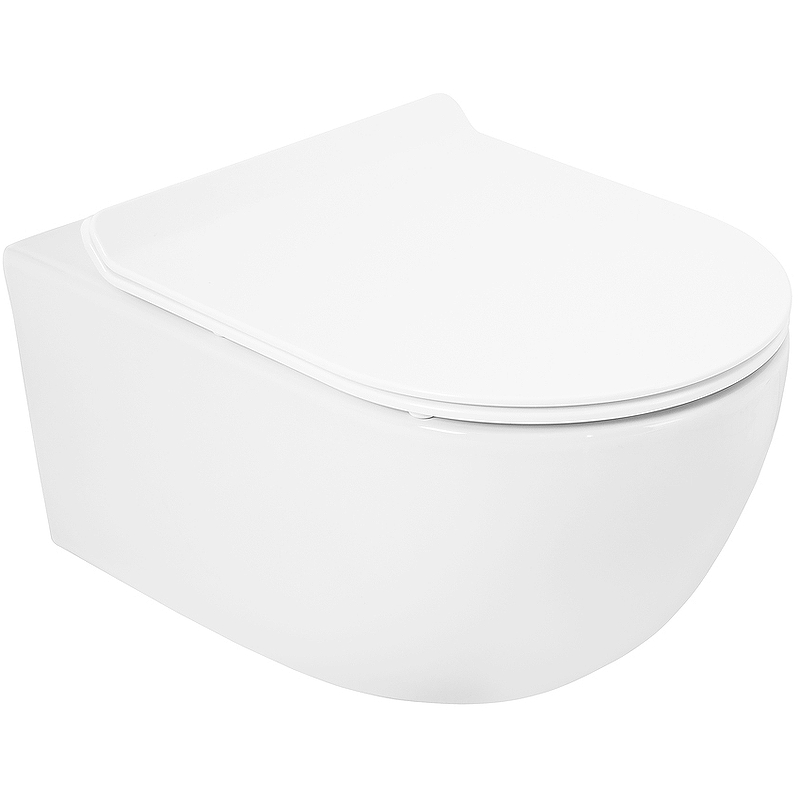 Чаша для унитаза подвесного Cezares Molveno CZR-2468-TH-R