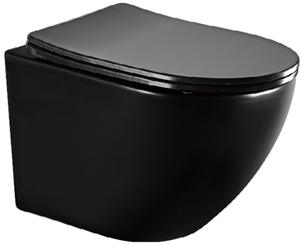 Унитаз подвесной ALPEN Victory A03S-BLACK