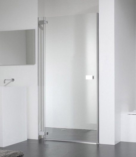 Душевая дверь в нишу Provex E-lite 0005-EN-05-GL L 100 см