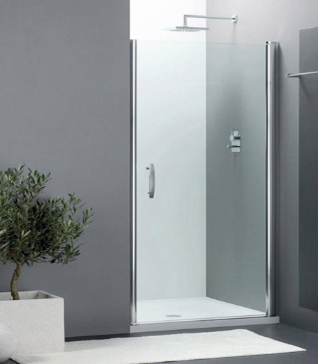 Душевая дверь в нишу Provex Elegance 0005-NE-28-GL 100 см
