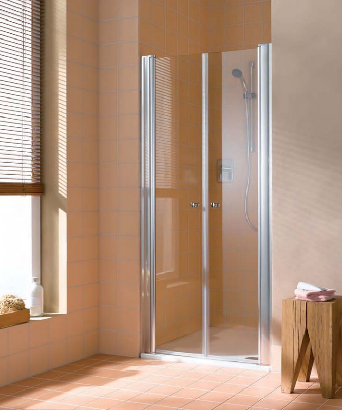 Душевая дверь в нишу Kermi Atea AT PTD 10018VAK 100 см