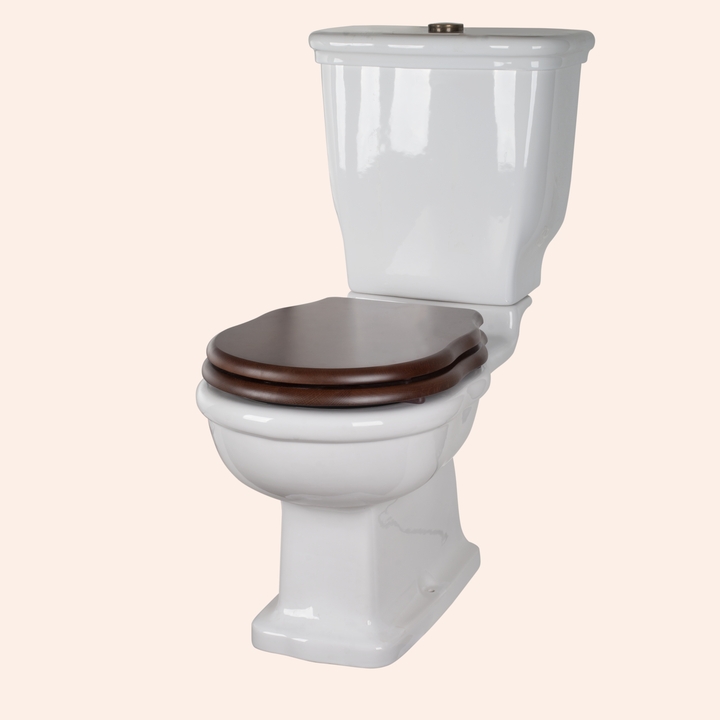 Унитаз-моноблок с бачком и механизмом смыва хром Tiffany World Bristol