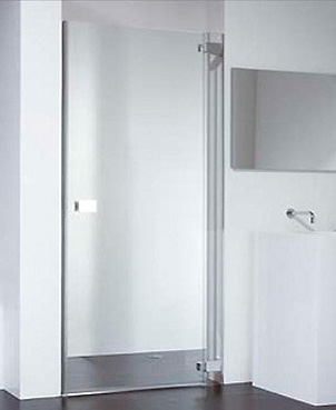 Душевая дверь в нишу Provex E-lite 0005-EN-05-GL R 100 см