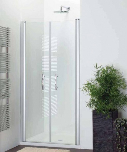 Душевая дверь в нишу Provex Vario 0005-PD-28-GL 100 см