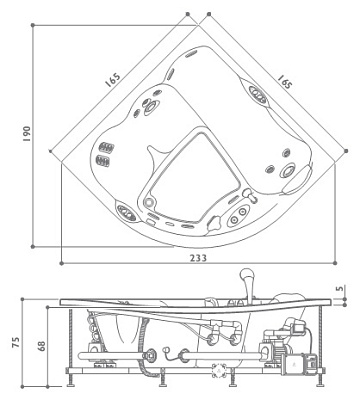 Акриловая ванна Jacuzzi Maxima Top