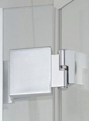 Душевая дверь в нишу Provex E-lite 0005-ET-05-GL L 100 см