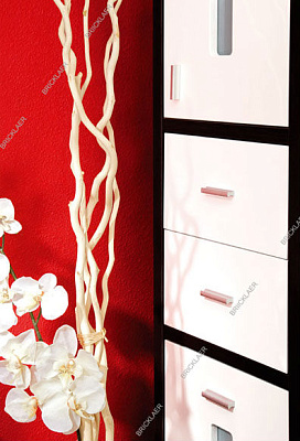 Шкаф-пенал Бриклаер Бали с б/к R