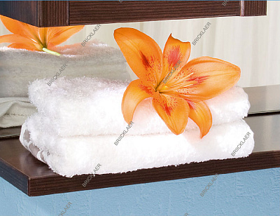 Зеркало-шкаф Бриклаер Бали 62 R