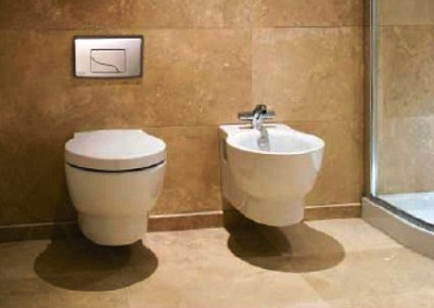 Унитаз подвесной Jacob Delafon Ove E1585