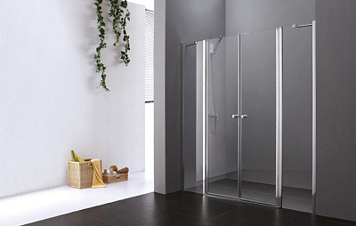 Душевая дверь в нишу Cezares Elena B22 180 P Cr