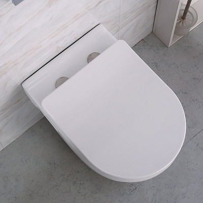 Чаша для унитаза подвесного BelBagno Loto BB070CHR