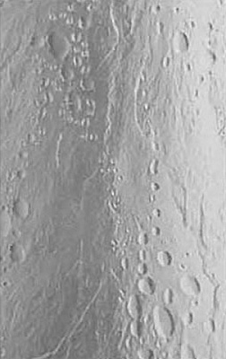 Шторка на ванну Bas Лагуна (4 ств. пластик)