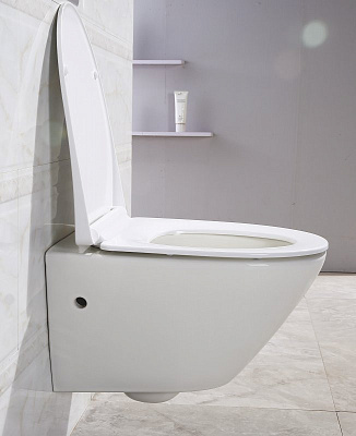 Крышка-сиденье BelBagno Alpha BB2177SC