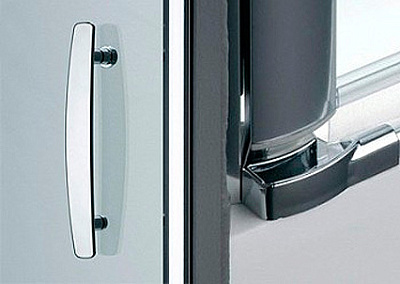 Душевая дверь в нишу Provex Elegance 0005-NE-28-GL 100 см